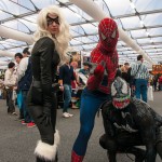 Oz Comic-Con 2014 (Sydney) cosplay - Black Cat, Spider-Man, Venom