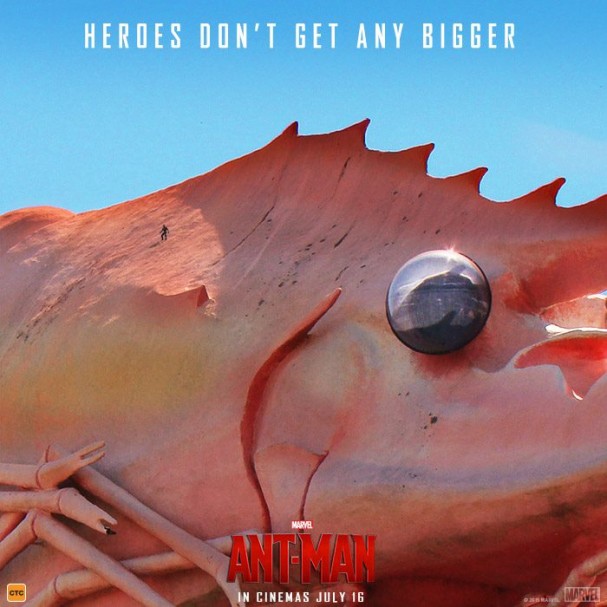 Ant-Man - Big Things - The Big Prawn (Ballina)